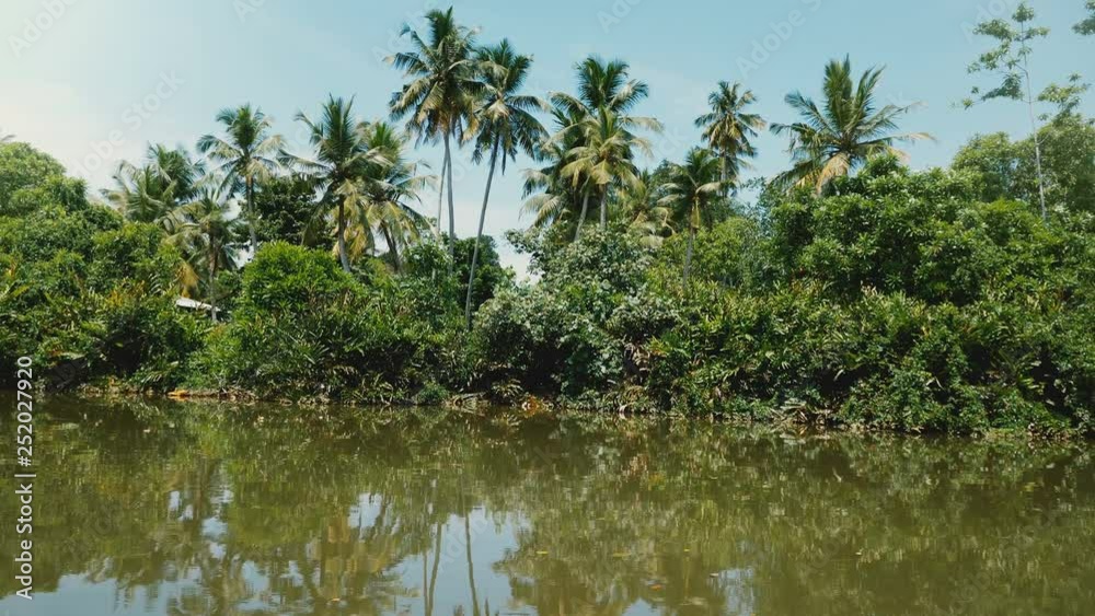 Camera is moving on a boat along sunny jungle river with beautiful lush greenery, exotic bushes and large palm trees. Camera is moving on a boat along sunny jungle river with beautiful lush greenery, exotic bushes and large palm trees.
