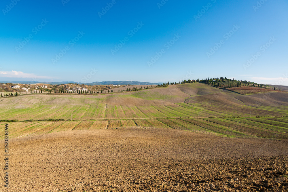 Obraz premium Die Crete Senesi ist eine beeindruckende Landschaft in der Toskana südlich von Siena. Sie ist geprägt von hügeligen Feldern.