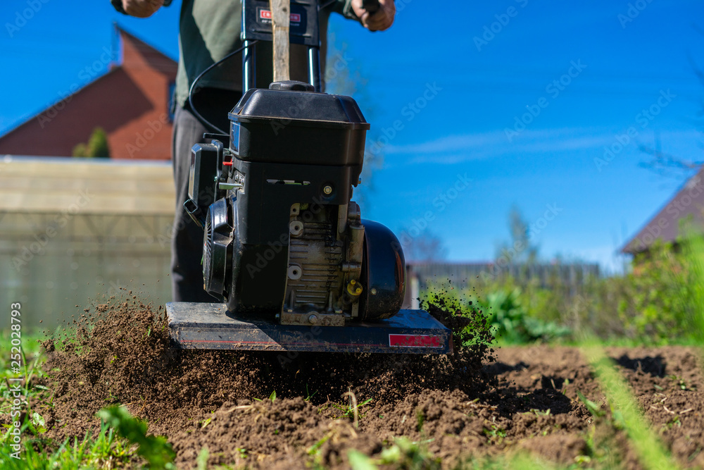 The cultivator loosens the ground. The farmer works with a motor-block