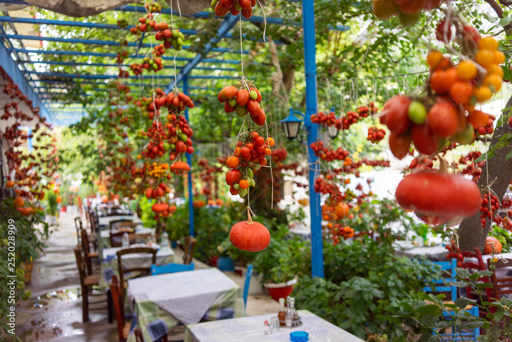 GREECE, CRETE, AUGUST 2018: Interior of one of the roadside cafe in Crete. Tomatoes garter on the ropes