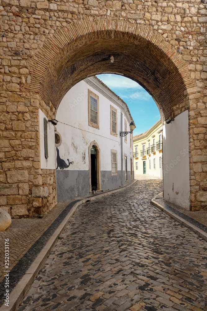 Cobbled street and archway