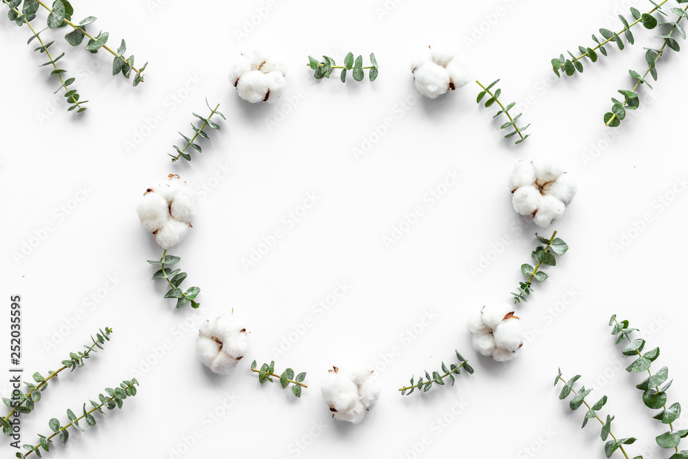 Flowers frame with fresh eucalyptus branches and cotton on white background top view copy space Flowers frame with fresh eucalyptus branches and cotton on white background top view copy space