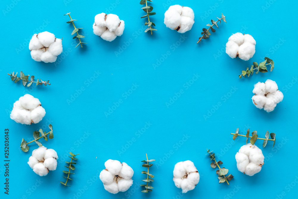 Flowers frame with fresh eucalyptus branches and cotton on blue background top view copy space Flowers frame with fresh eucalyptus branches and cotton on blue background top view copy space