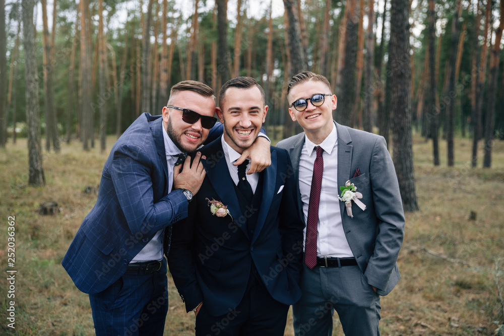 Stylish groom. Stylish portrait groomsmen and groom stand on nature. Stylish groom. Stylish portrait groomsmen and groom stand on nature.