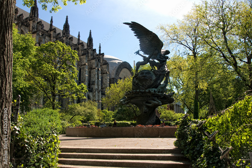 Fototapeta premium SONY DSC