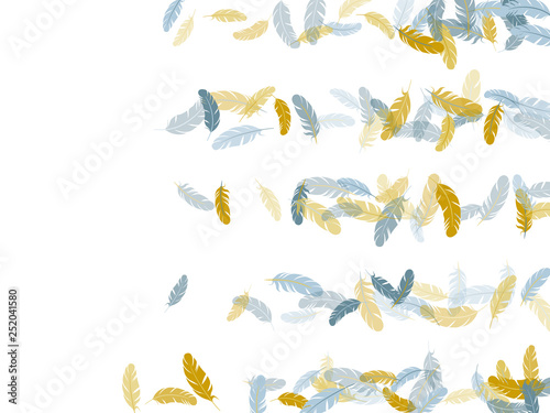 Flying feather elements airy vector design.