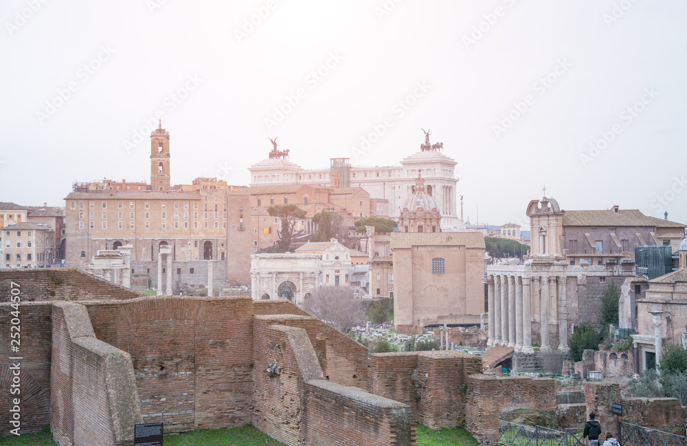 Rome ruins cityscape view, famous turist arts landscape