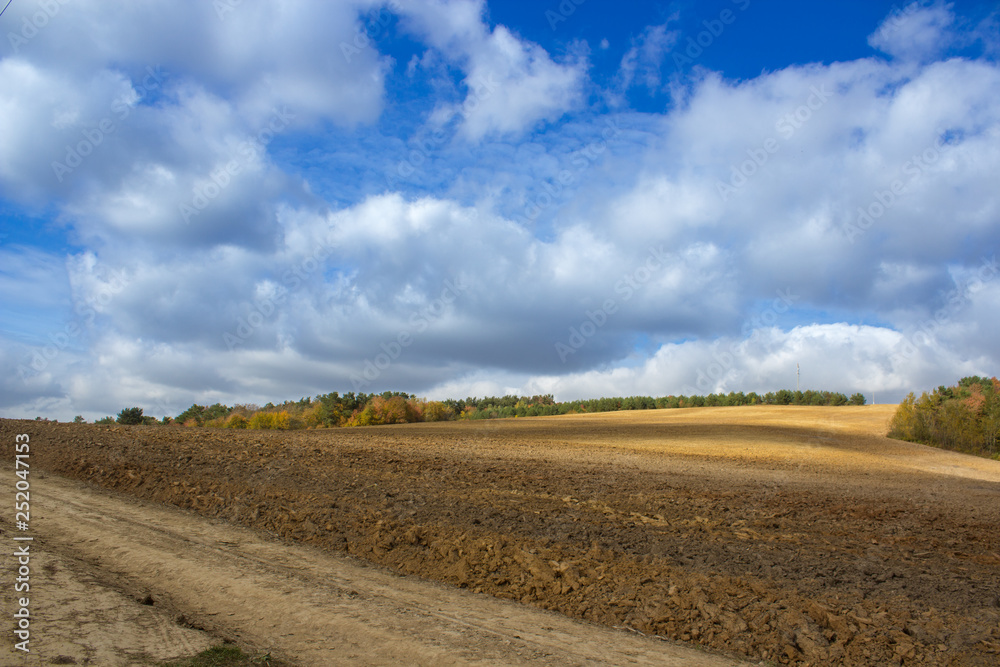 Obraz premium plows a field,black ground plowed, fields on the background of the sky with clouds