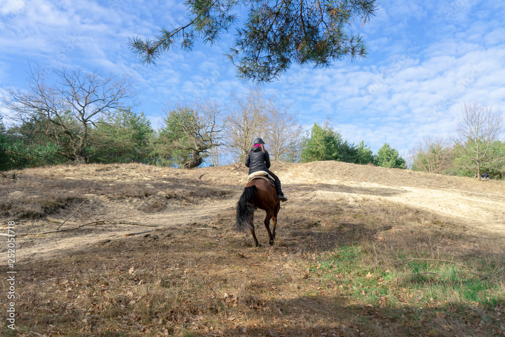 Girl on Horses nature riding western hobby Girl on Horses nature riding western hobby