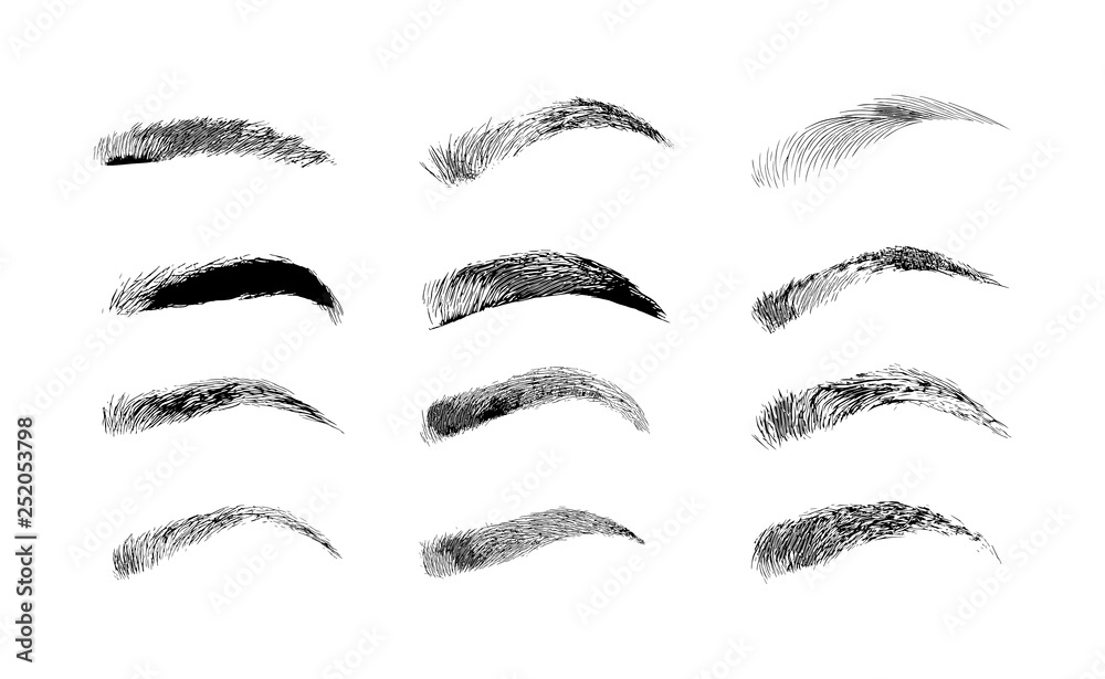 Eyebrow Shapes. Various Types Of Eyebrows. Classic Type And Other ...