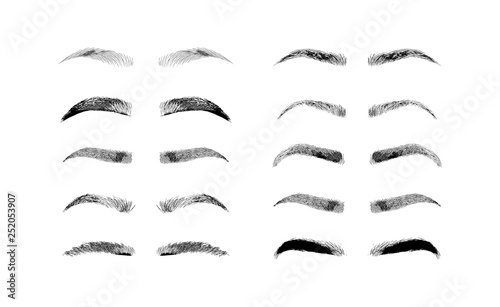 Eyebrow shapes. Various types of eyebrows. Classic type and other. Trimming. Vector illustration with different thickness of brows. Makeup tips.