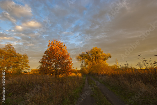 Autumn sunshine