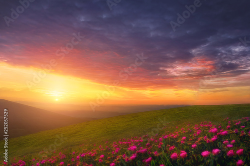 spring background with beautiful landscape with flowers at sunset