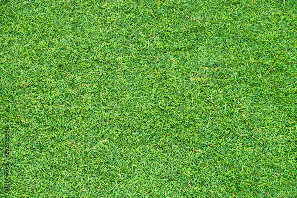 Fototapeta green grass texture as background.