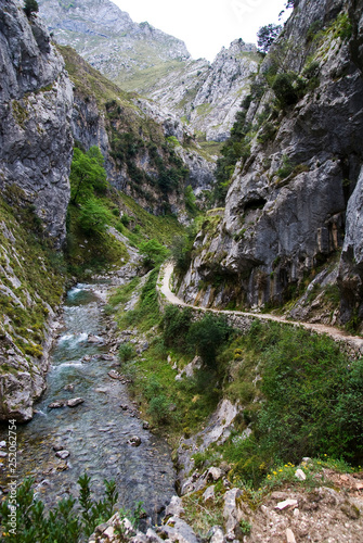 Cares Canyon. Picos de Europa National Park, Le—n province, Castilla-Le—n, Spain