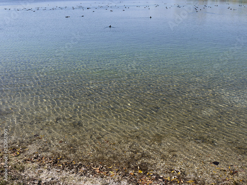 lake ausee near asten, upper austria photo