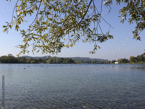 lake ausee near asten, upper austria photo