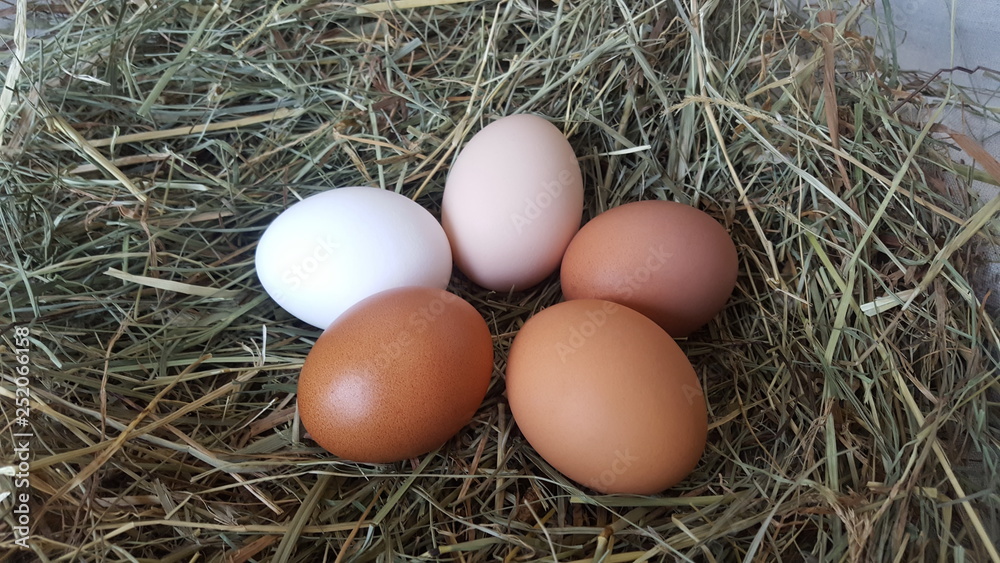 Eggs in hay. Preparation for Easter. Farm lifestyle in the countryside, fresh eggs from the farm in the countryside.