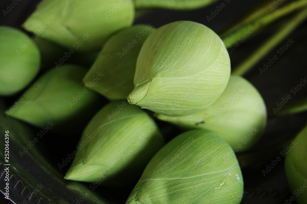 The green lotus bud is placed on a silver tray. The green lotus bud is placed on a silver tray.