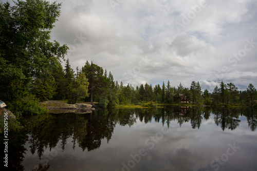 A scenery view of forest reflecting on lake