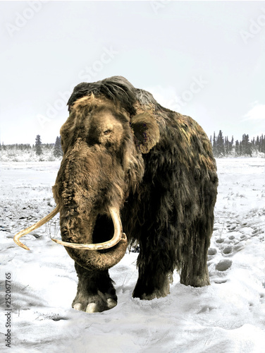 Mammoth walking through the snow.
