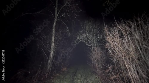 Walking through path in woods at nighttime. Running thorough misty deep forest at night. Scared running away from monsters and death, lost and alone in the dark. Spooky trees and fog in darkness.