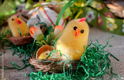 Easter yellow chicken in the nest. Various variants