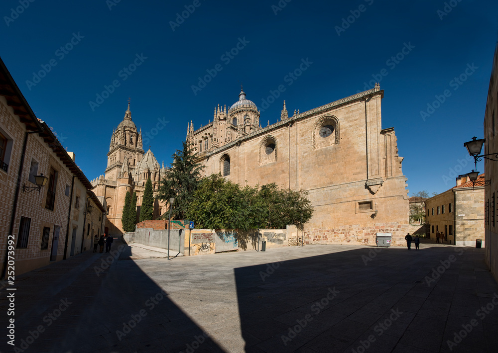 Catedral Nueva y Vieja,Salamanca,Castilla-Leon,Spain
