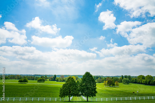 Landscape green fields
