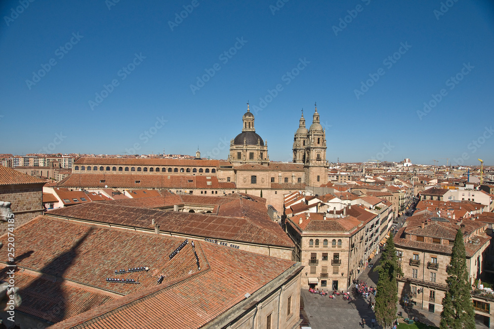 Clerecia,Universidad Pontificia de Salamanca,vista de la ciudad,Salamanca,Castilla-Leon,Spain