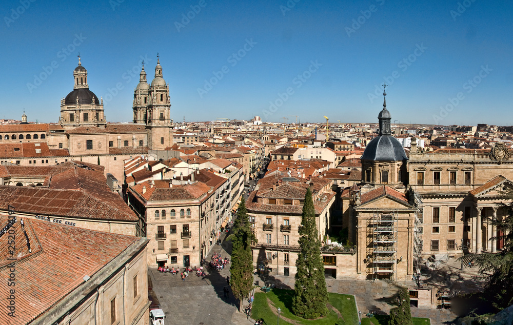 Clerecia, Universidad Pontificia de Salamanca,vista ciudad,Salamanca,Castilla-Leon,Spain