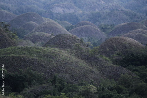 Chocolate Hills  Bohol  Philippines