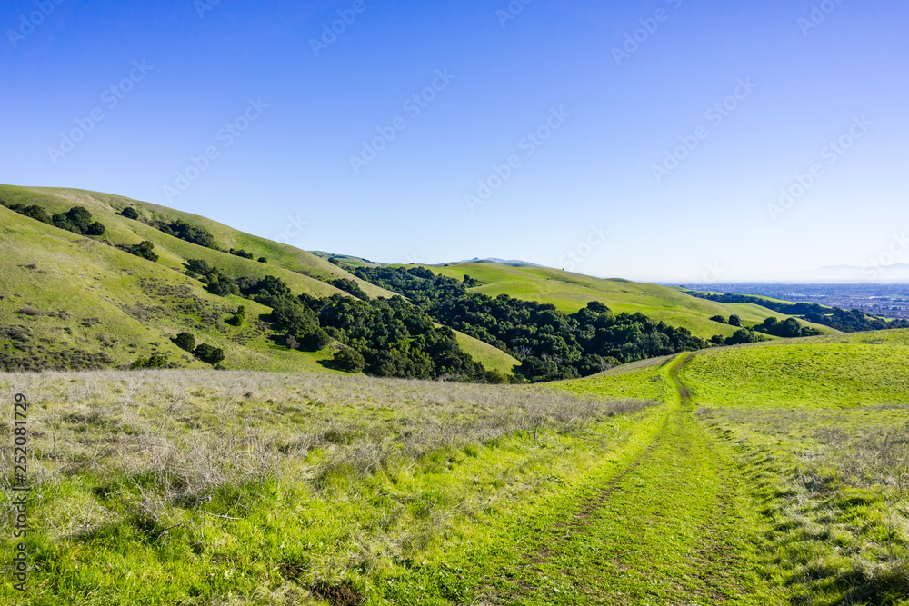 Trails on the verdant hills of east bay, San Francisco bay area, Hayward, California Trails on the verdant hills of east bay, San Francisco bay area, Hayward, California