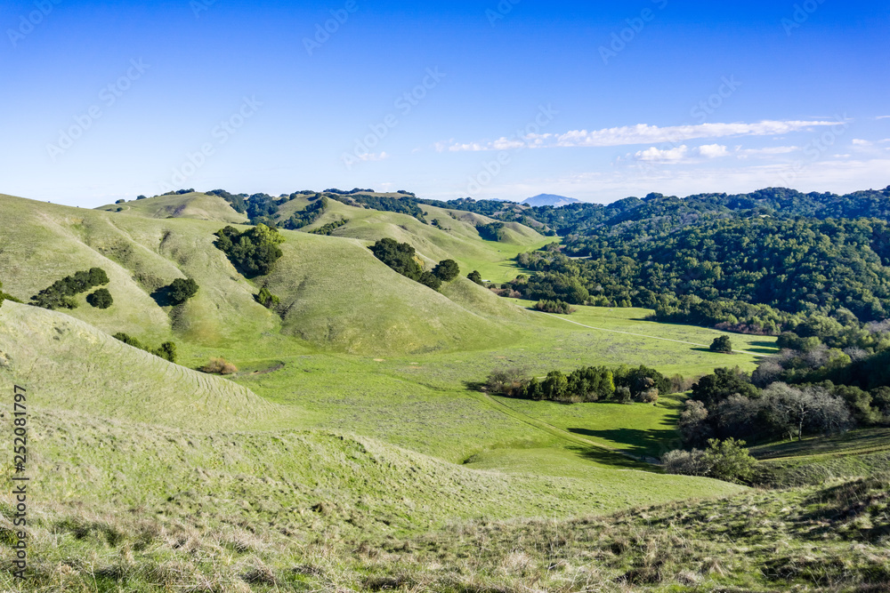 Obraz premium Valley in Briones Regional Park; Mount Diablo in the background, Contra Costa county, east San Francisco bay area, California