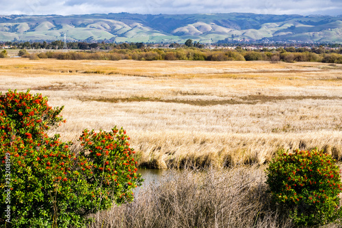 Canvas Print Marsh views, Coyote Hills Regional Park, Fremont, east San Francisco bay, Califo