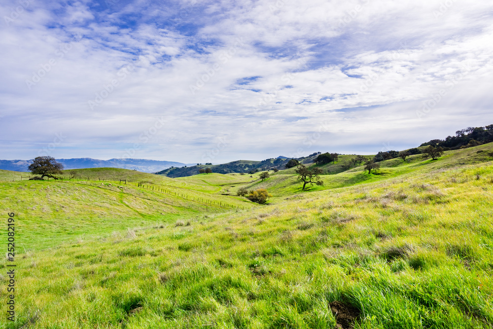 Fototapeta premium Panoramic view over the hills and valley of Coyote Valley Open Space Preserve, Morgan Hill, south San Francisco bay area, California