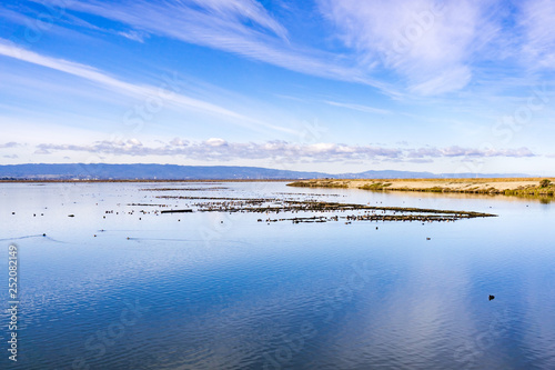 Wetlands in Alviso marsh, south San Francisco bay, San Jose, California