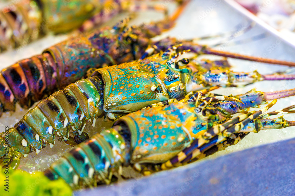 Thai Street Food Giant RAINBOW LOBSTER in Phuket, Thailand Stock