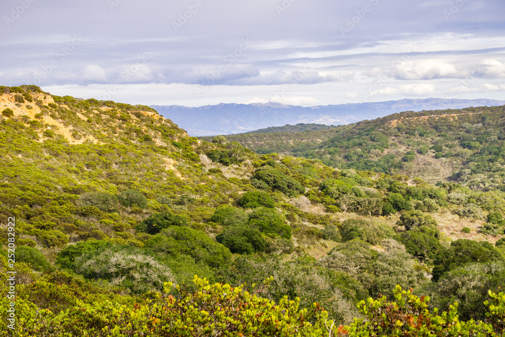 Landscape in Fort Ord National Monument, Salinas, California