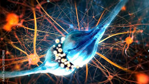 Neurotransmission in the Synapse. Neurons and nervous system (3d illustration) photo