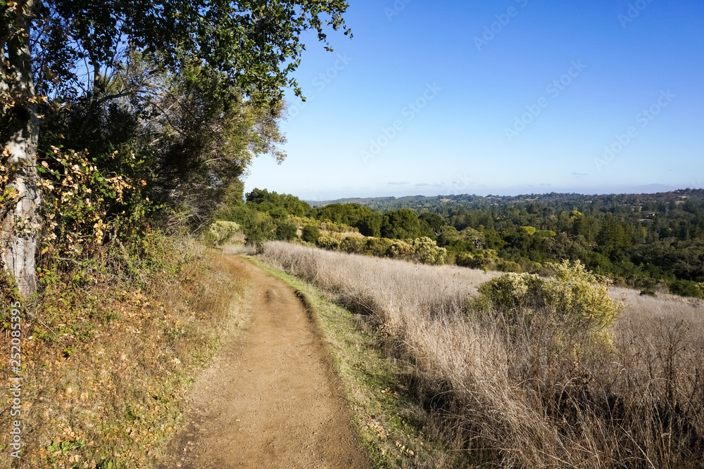 Trail in the Hills of San Francisco Bay Peninsula, California