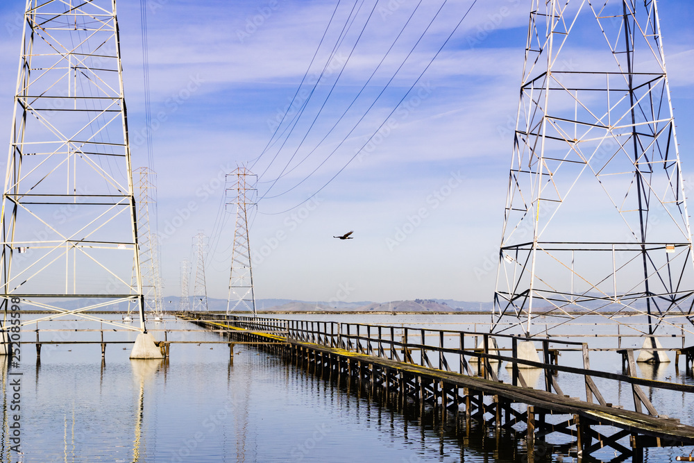 Northern harrier flying among electricity towers, Shoreline Park, Mountain View, south San Francisco bay, California