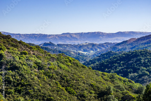 Fototapeta Naklejka Na Ścianę i Meble -  Green Hills in Calero County Park, Santa Cruz mountains, south San Francisco bay area, California