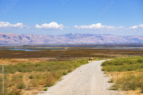 Views of south San Francisco bay area as seen from Byxbee Park, Palo Alto, California photo