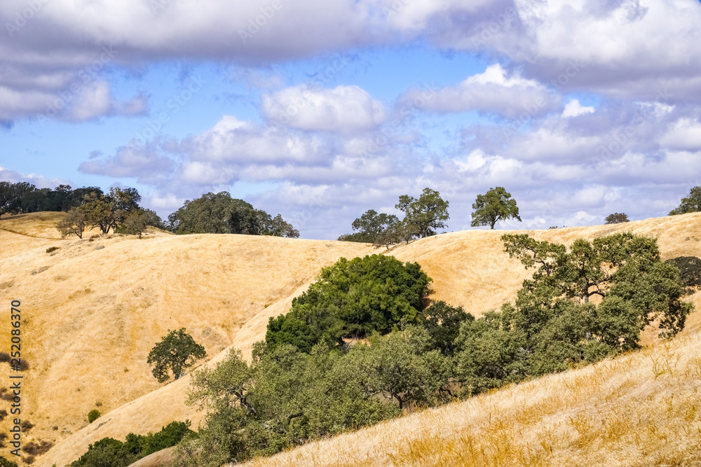 Hills covered in dry grass in Henry W. Coe Park State Park, San Francisco bay area, California
