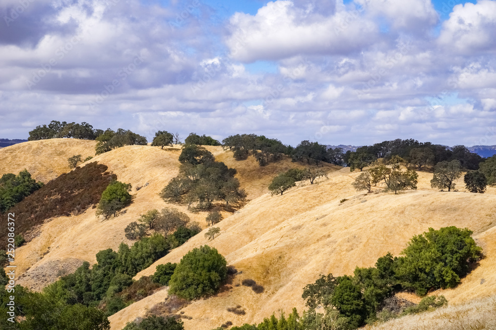 Hills covered in dry grass in Henry W. Coe Park State Park, San Francisco bay area, California