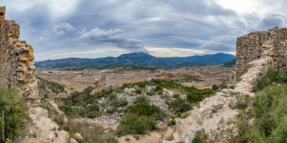 Gigapan of valley with almond trees in bloom