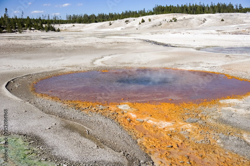 Colorful Hot Spring in Norris Geyser Basin, Yellowstone National Park