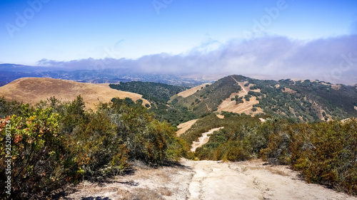 View towards Ollason Peak, Toro Park, California