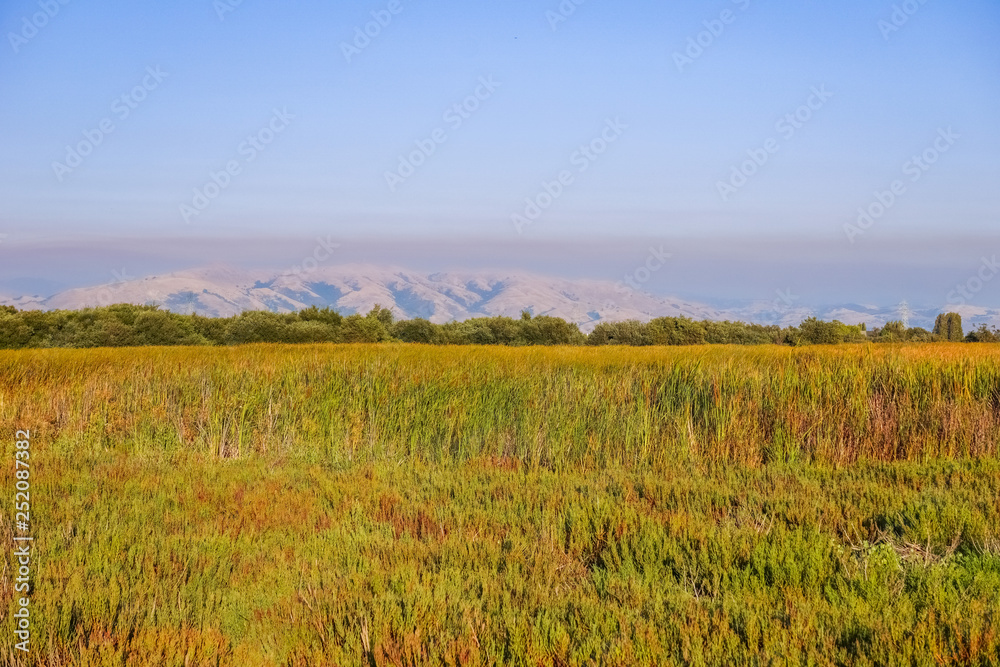 Marsh in Coyote Hills Regional Park; on the background smoke from Soberanes fire is visible, San Francisco bay area, California